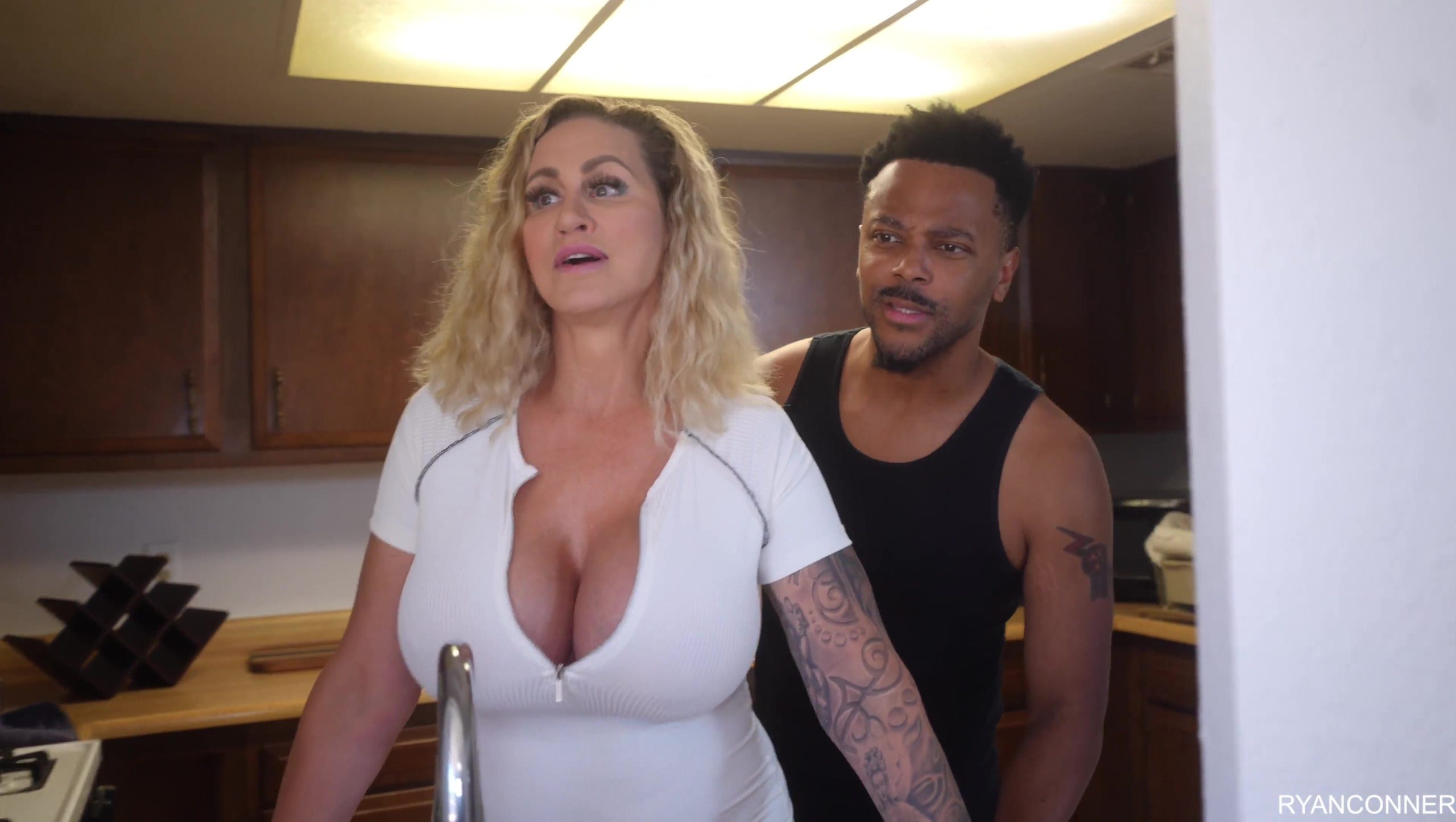 Ryan Conner finnyfox house fix 4k