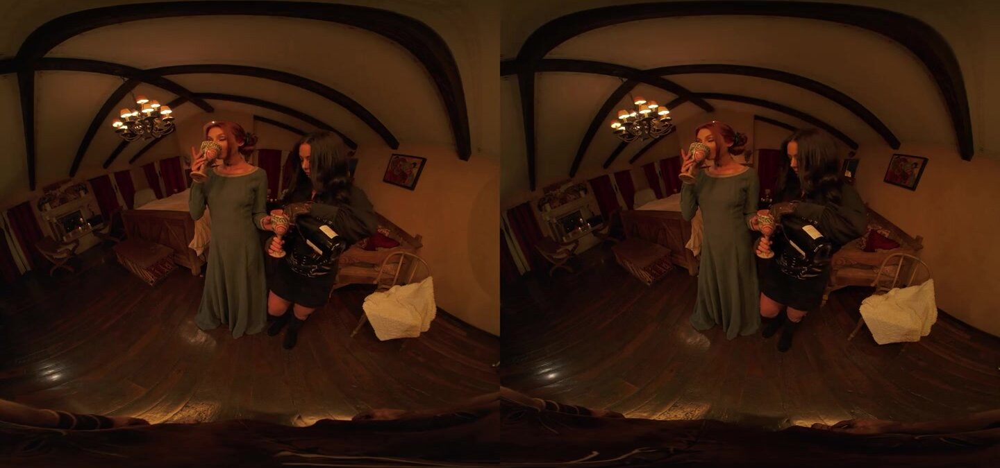 The Witcher XXX Parody