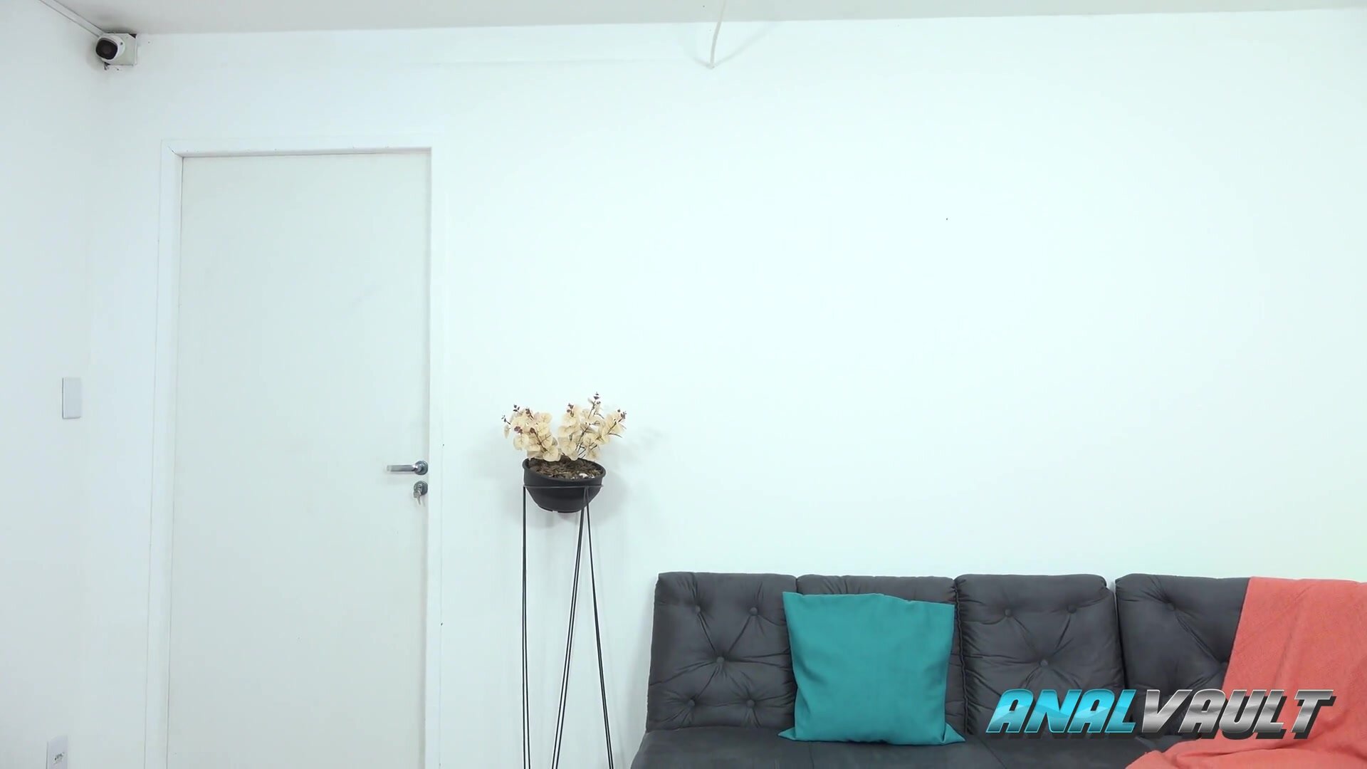 AnalVault – Susie Slut