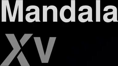 Creampie for submissive MILF – XVideosRED