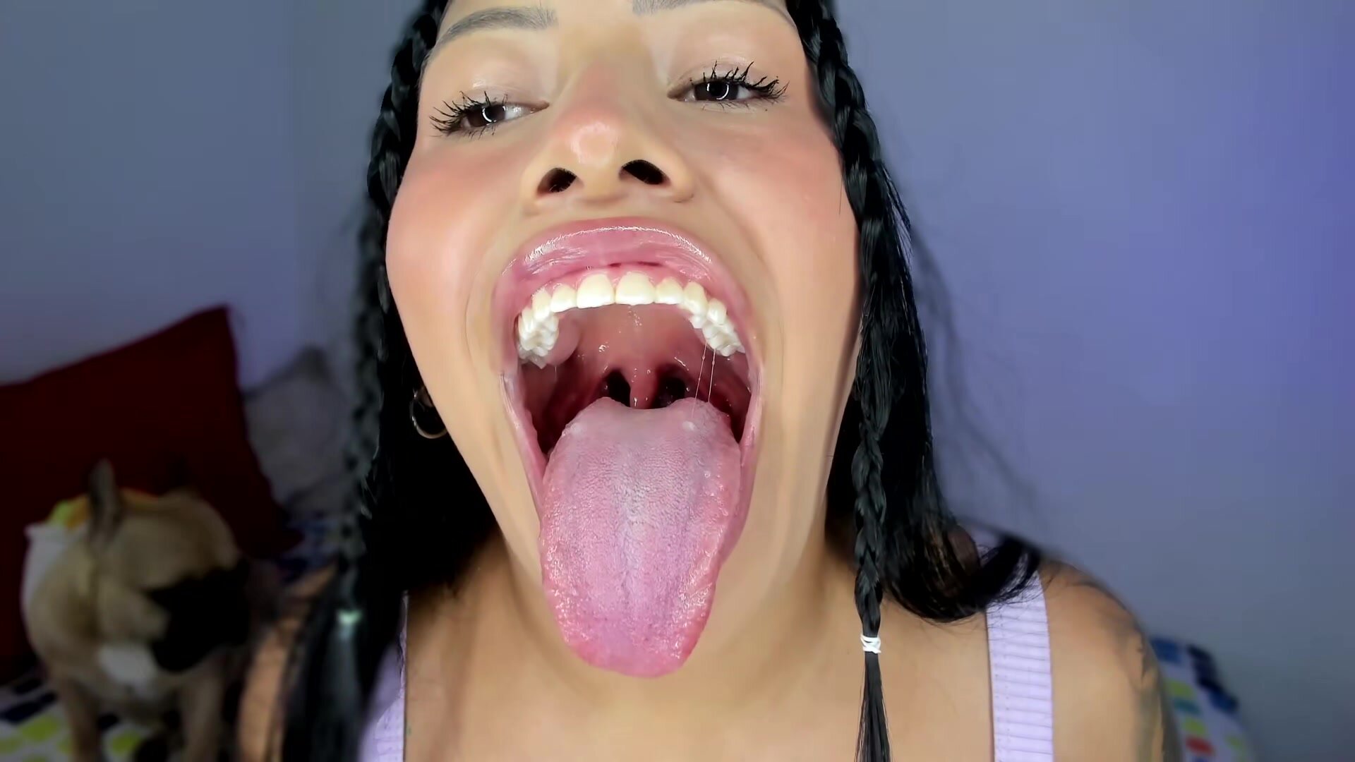 Nerak_a Livestream 2024-04-29