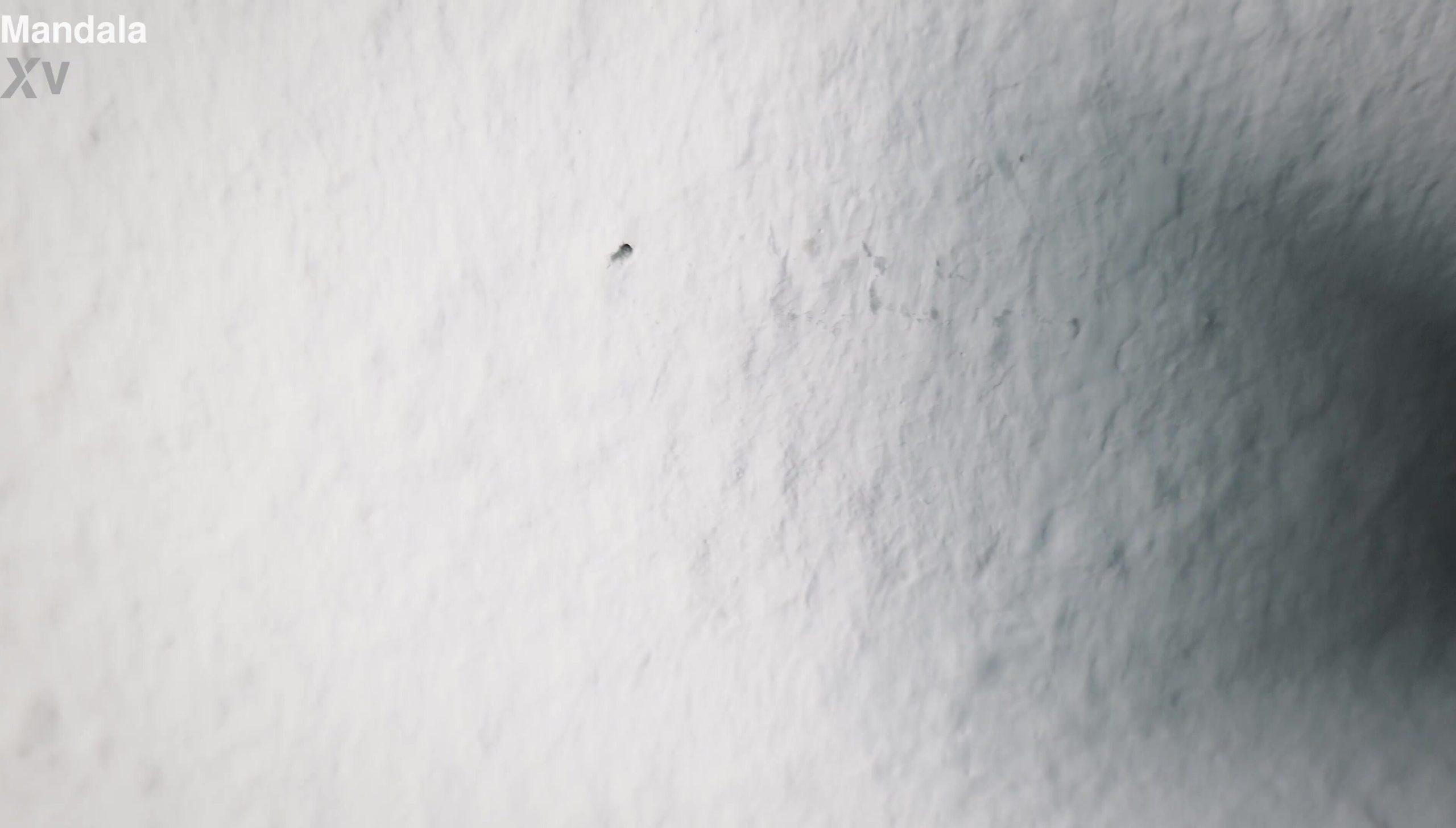 Eleonor Dasti – Fucked hard – XVideosRED