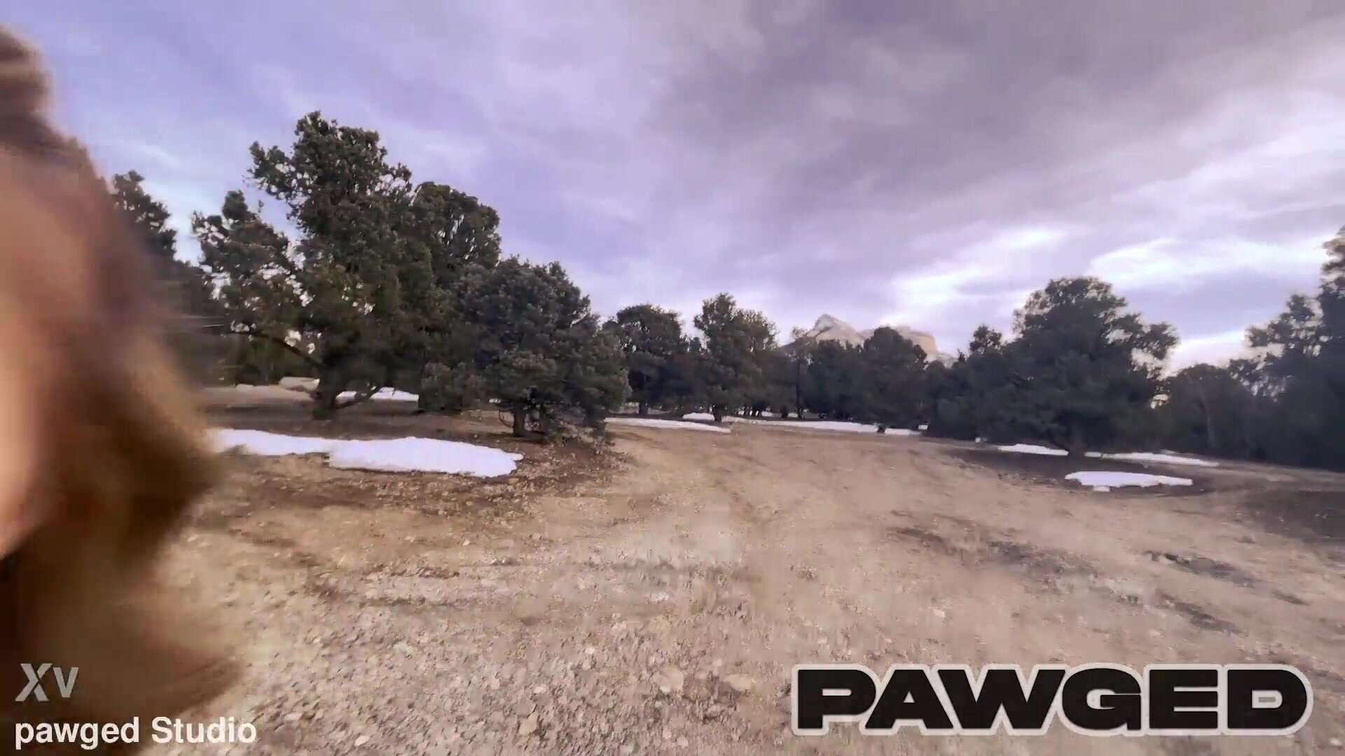 Really mariee Hollybad124 Picnicing PAWG Holly Haze Gets Basket Filled