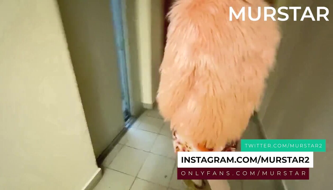 LittleMaryLove – PornHub #13