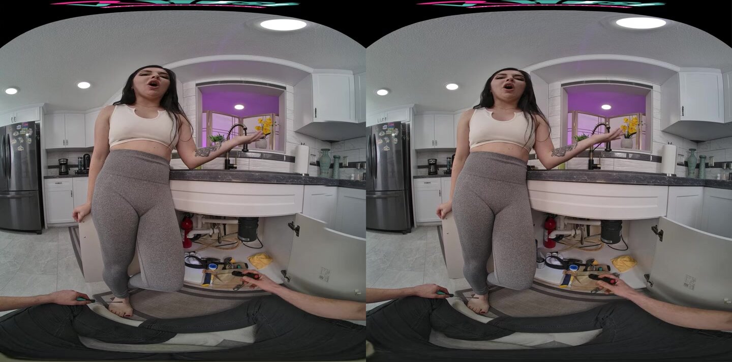 The Mechanics Of Sex