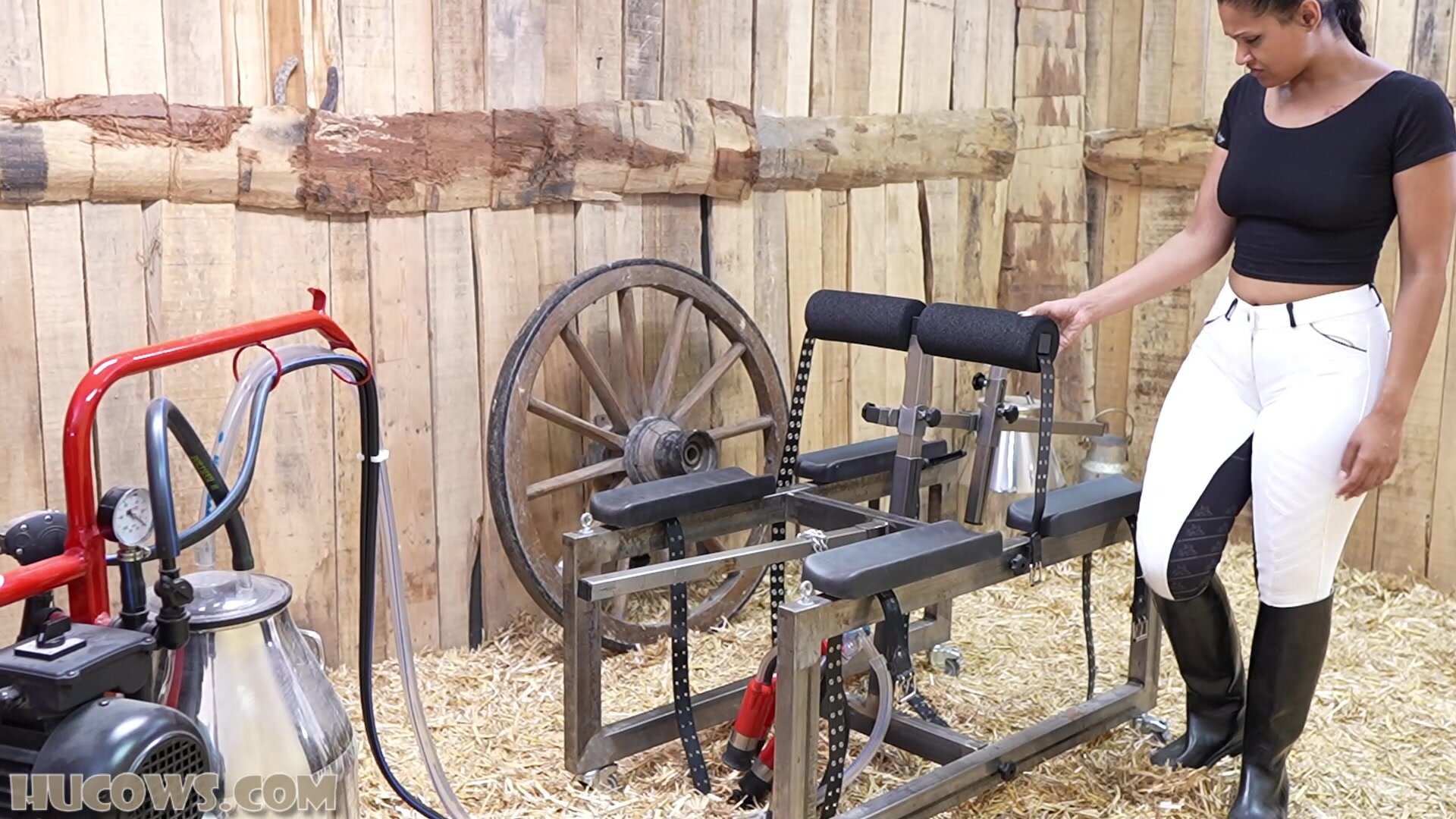 HuCows – Calisa Bliss – Curious